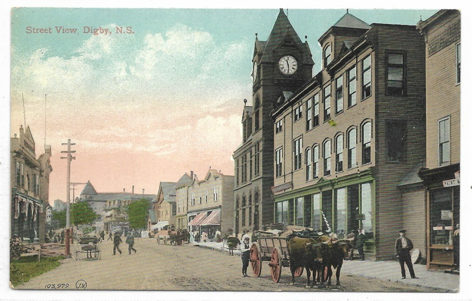 Postcard Digby Nova Scotia  Street View Oxen Town Clock Oxen and Cart Circa 1909