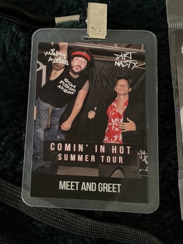 Mickey Avalon Dirt Nasty Comin’ In Hot Summer Tour VIP Schlüsselband + 4 Pin Set Rap   - Bild 3 von 5