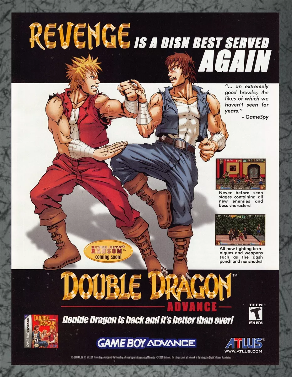 Double Dragon Advance GBA COMPLETE in Very Good Condition