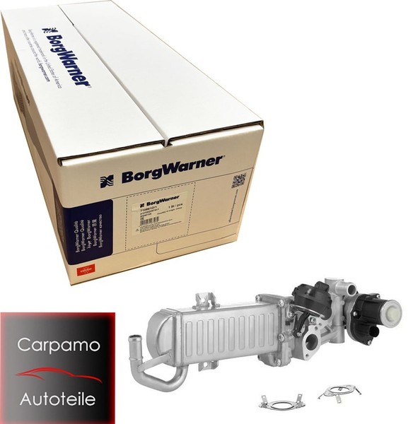 Borgwarner 710861D/1 Agr KüHler KüHlmodul FüR Vw Audi Skoda Seat 1.4 1.6 2.0 Tdi-image