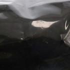 Picture 4 of 6
