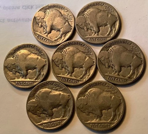 1930 HERD OF SEVEN - 7 - Buffalo Nickels