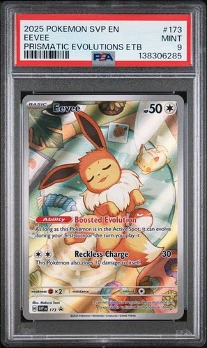 2025 POKEMON SVP EN-SV BLACK STAR PROMO #173 EEVEE PSA 9