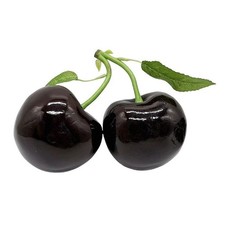 Large Faux For CHERRY Foam Prop 105mm Diameter for Event Display and Decor