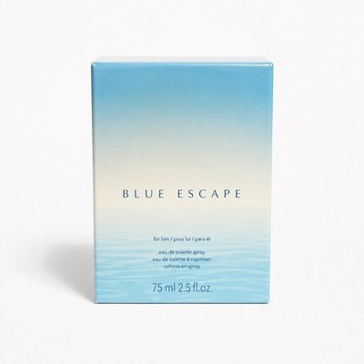 AVON BLUE ESCAPE MEN EAU DE TOILETTE, FRESH OCEAN MIST, DRIFTWOOD, MUSK, RETIRED