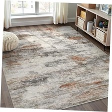Area Rugs for Living Room: 5x7 Washable Neutral Modern Rug for Bedroom Large