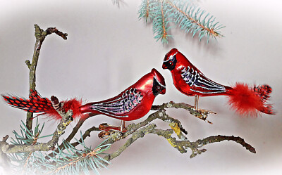   2 x Glasvogel Kardinal Rot Lauscha Glas Vogel mit Feder Christbaumschmuck #221