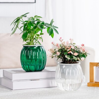 Transparent Pumpkin Plant Container for Balconies Tabletop Flower Arrangements