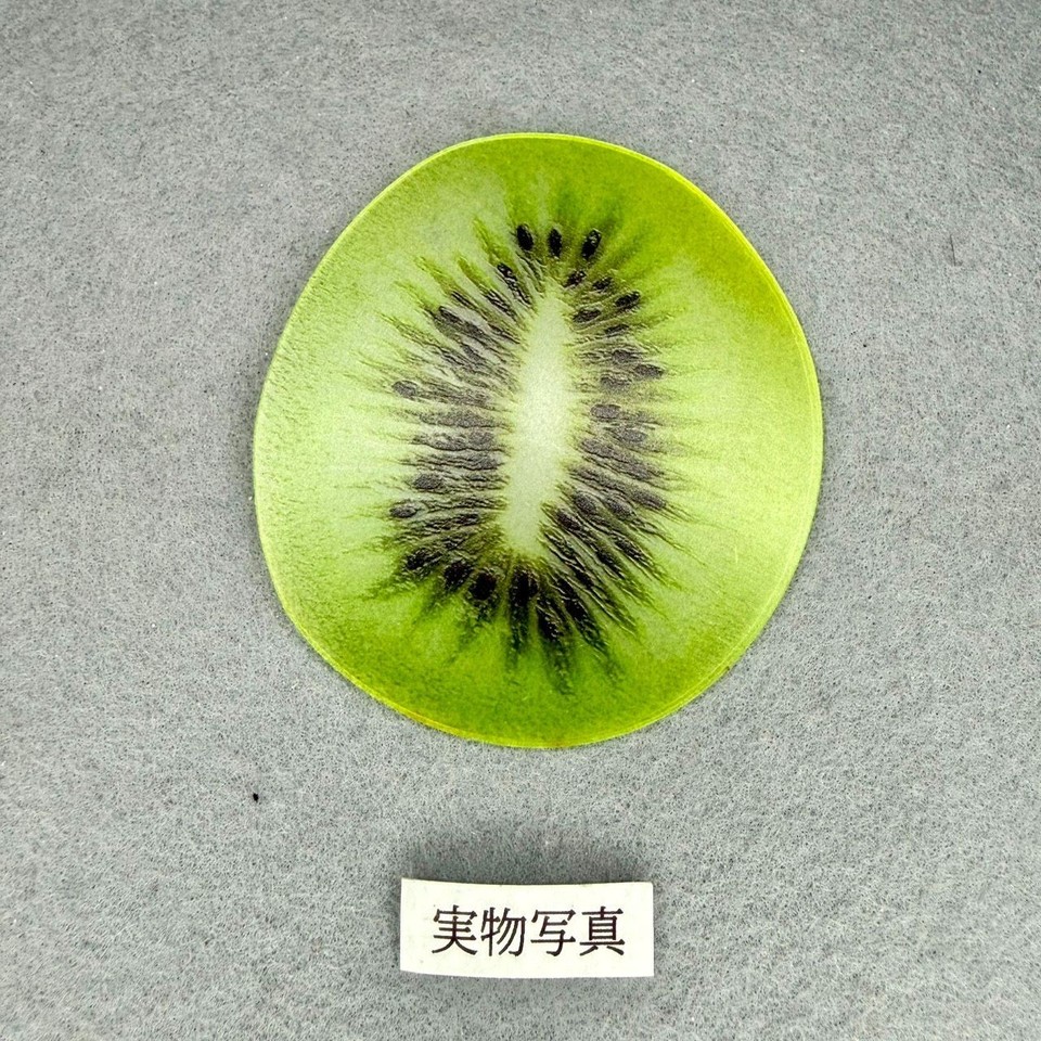Kiwi Fruit Slice Bookmark Green Resin Food Sample Retro Reading ...