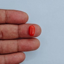 Cabochon corail rouge pierre précieuse Méditerranée Italie cabochon corail 10...