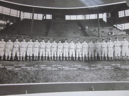 7 Boston Red Sox 1946 American League Champions Team Photo & Tickets (Repro) - Picture 11 of 14
