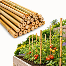 Heavy Duty Bamboo Canes 2ft 3ft 4ft 5ft Natural Garden Plant Support Sticks