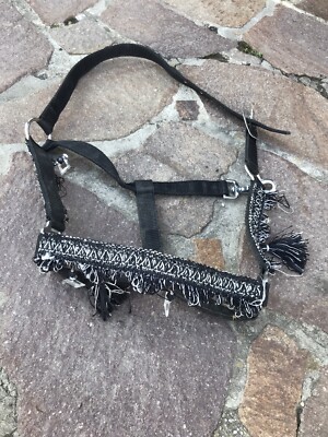 Schwarzes Halter (Arabischer Style) Cob/VB