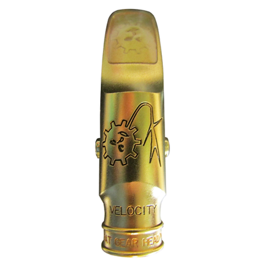 Theo Wanne Velocity 8 Alto Sax Gold Mouthpiece | eBay