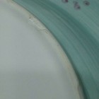 Gibson   Salad / Pasta Plates 9-1/8"    Design by Julie Ingleman - Lot of 5 — photo 6