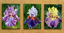 Set of three ACEO IRISES Original oil painting Floral style