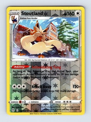Stoutland - Evolving Skies 135/203 - Reverse Holo - NM - Pokémon
