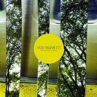 You Blew It! Keep Doing What You're Doing (Cd) Album