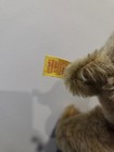 Vtg 12.5” Steiff Bear 0155/32 Hump Back Button Tag Germany Growler — photo 5