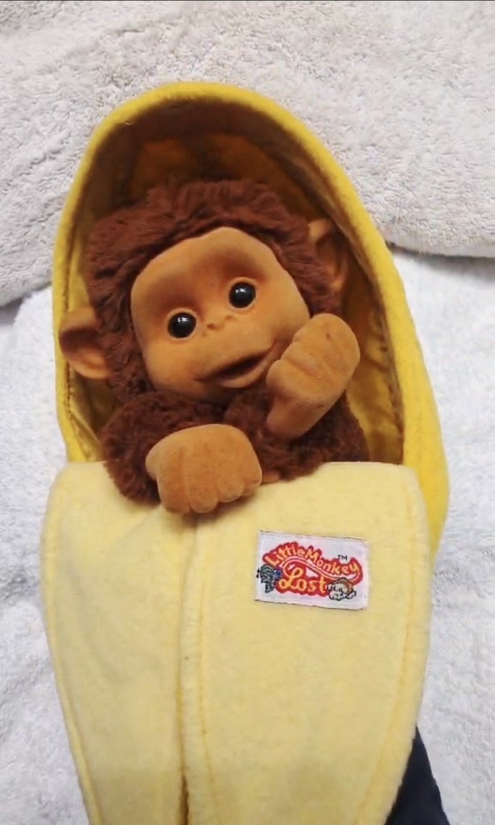Little Monkey Lost 12