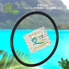   SPX1500P Fits Power-Flo Pool Pump Lid For Hayward & PTK-231 By Pooltek USA