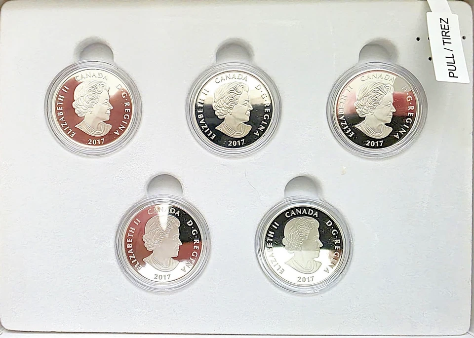 2017 Canada $10 Bird's Among Nature's Colours 5 Coin Set in Presentation Box - Image 3 of 4