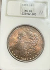 1881 Morgan Silver Dollar NGC MS65 - Crazy Color, Rainbow Rim Reverse Old Holder