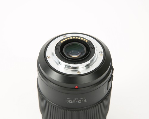 Panasonic Lumix G Vario 100-300mm f/4.0-5.6 II POWER O.I.S. Lens | H-FSA100300 - Picture 7 of 7