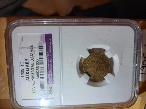 1905 1 CENT AU DETAILS ENVIRONMENTAL DAMAGE NGC CERTIFIED