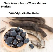 Black Kaunch Seeds Whole Mucuna Pruriens Indian Velvet Bean Konch Beej F SHIP