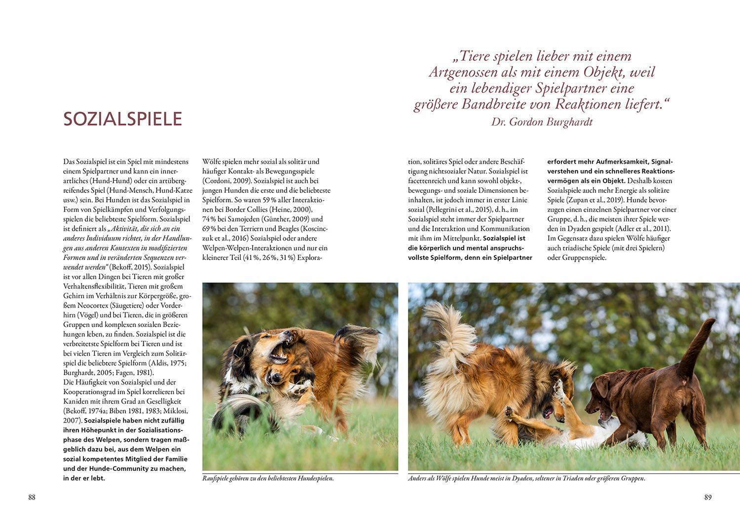 Thumbnail - Udo Gansloßer Und Sie Spielen Doch