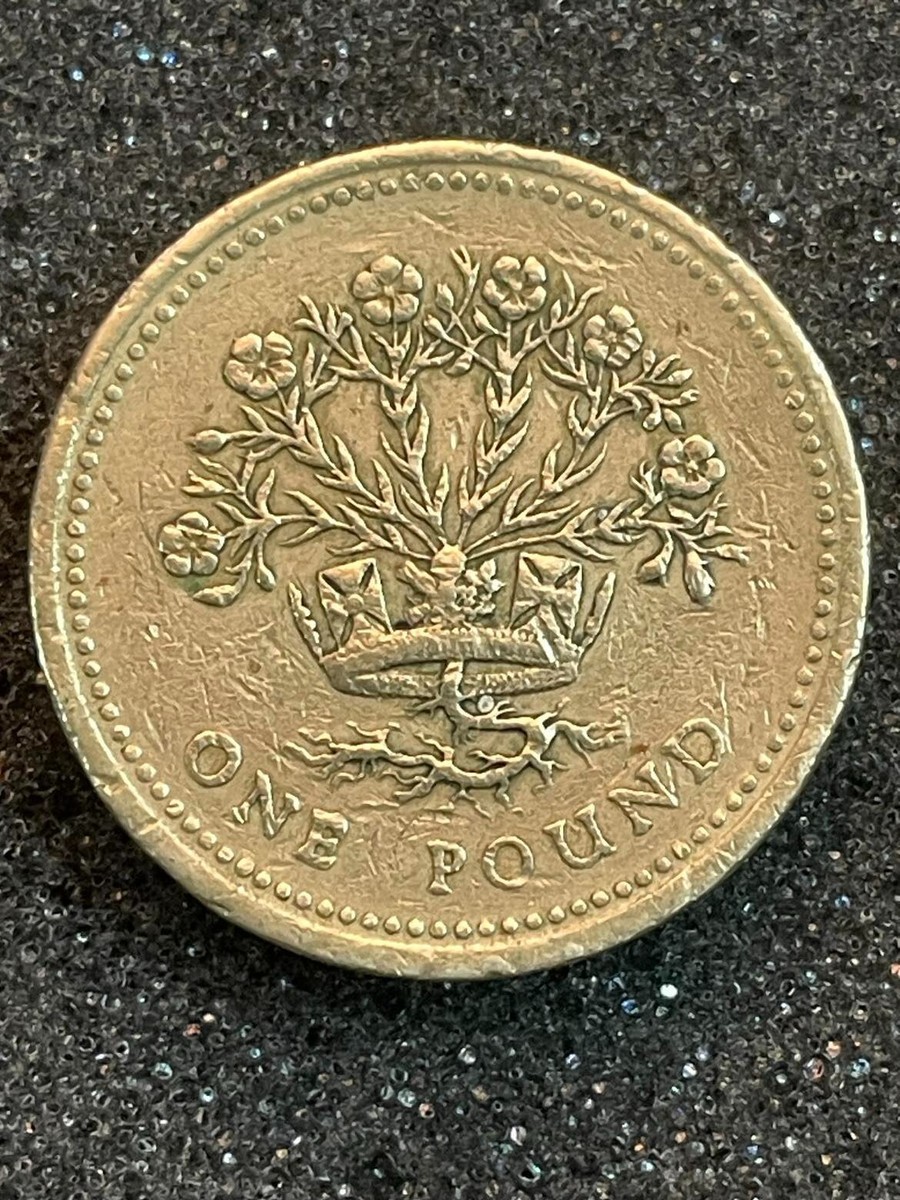 1991 £1 One Pound Coin Queen Elizabeth ll 