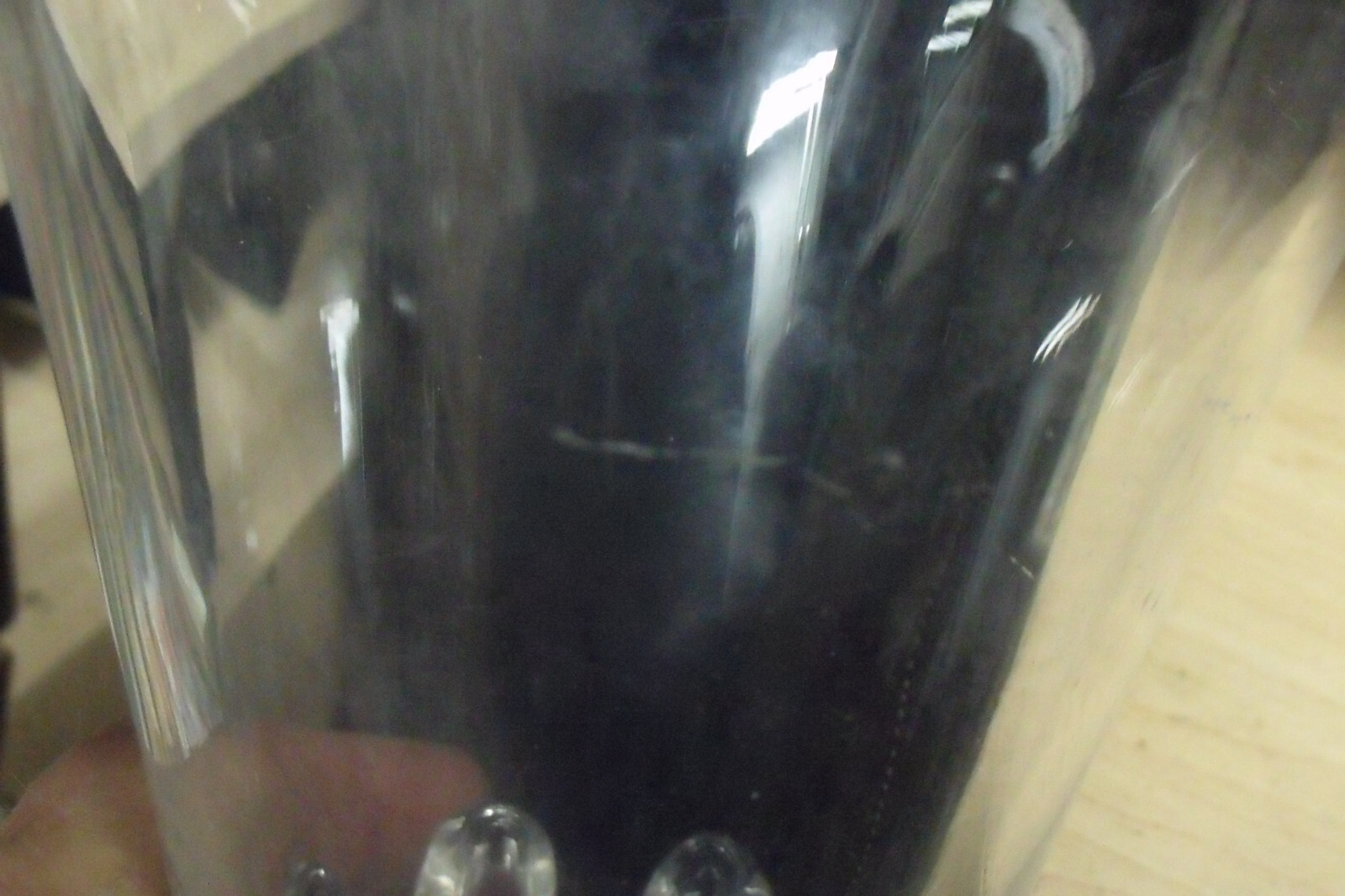 Picture 6 of 6