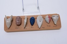 Eastern Band of Cherokee Indians, Cherokee, NC Set of Seven Cherokee Stone Clan