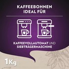 Bild 7 von 7