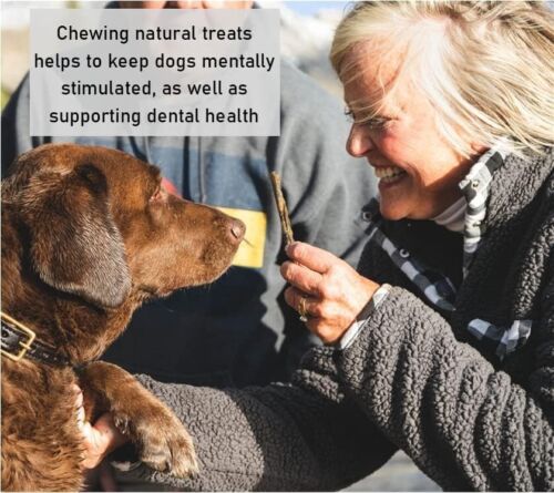 Antler Dog Chews Medium x 3 (Weight 75-149g) Natural Dog Chew Treat - Picture 5 of 8