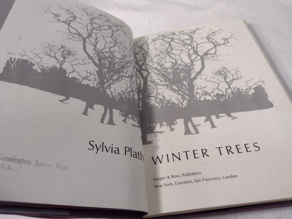 WINTER TREES poems by Sylvia Plath - 1st/3rd HCDJ 1971 - poetry -Ariel - Image 3 of 4