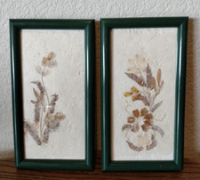 Set Of Two Vintage Framed Pressed Dried Flowers Art Pictures / Wall Plaques
