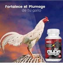 Nutri-line Muda Rooster/Gallos 100 Tabs - Coadyuvante Para cuido de plumas, Pico