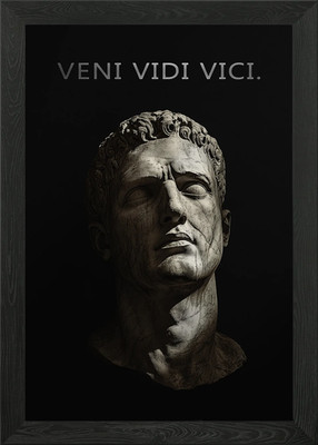 VENI VIDI VICI | Julius Caesar Framed Wall Art Poster Canvas Print Picture
