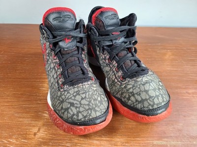 Nike FaZe Clan x Zoom LeBron NXXT Gen Bred Mens Size 7.5 (DR8784-001)