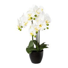Kunstblume PHALENOPSIS ca 56 cm weiß, WEISS. Orchidee getopft im schwarzen Topf