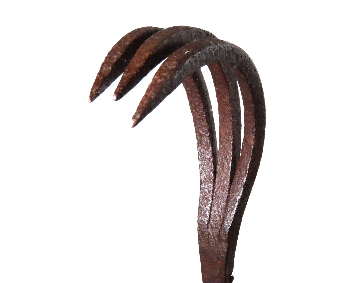 NICE 16TH CENTURY TORTURER'S IRON "CAT'S CLAW" "SPANISH TICKLER" SKIN