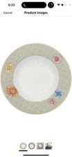 Villeroy & Boch Aureus 9-1/2-Inch Rim Soup Bowl, Blossom