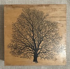 PSX K-1457 The Great Oak Tree Fall Winter No Leaves Wooden Rubber Stamp