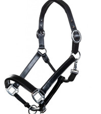 Collare testa di cavallo in pelle economico regolabile resistente poggiatesta cavallo