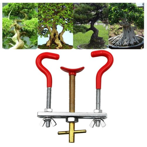 Cintreuse Branche Bonsaï Zosenda - Outil Formage Arbre Miniature