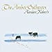 ALASDAIR ROBERTS - THE AMBER GATHERERS - CD Album - Photo 1/1