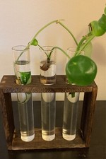Mkono Wall Hanging Plant Propagation Glass Planter Station 3 Tubes 6"L x 2"W x 6