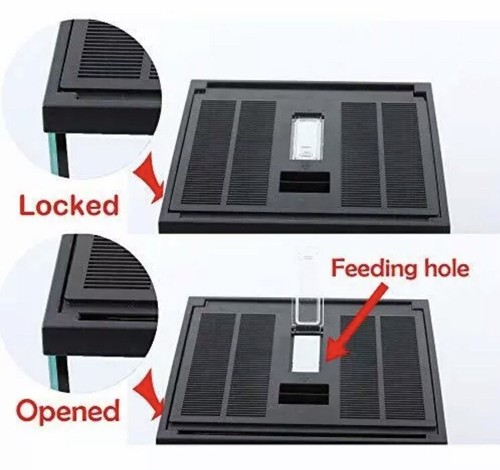 Crapelles Pac Ranas Vidrio Terrario Kit de Alimentación Tanque, Impermeable, para Anfi Pequeño - Imagen 3 de 8